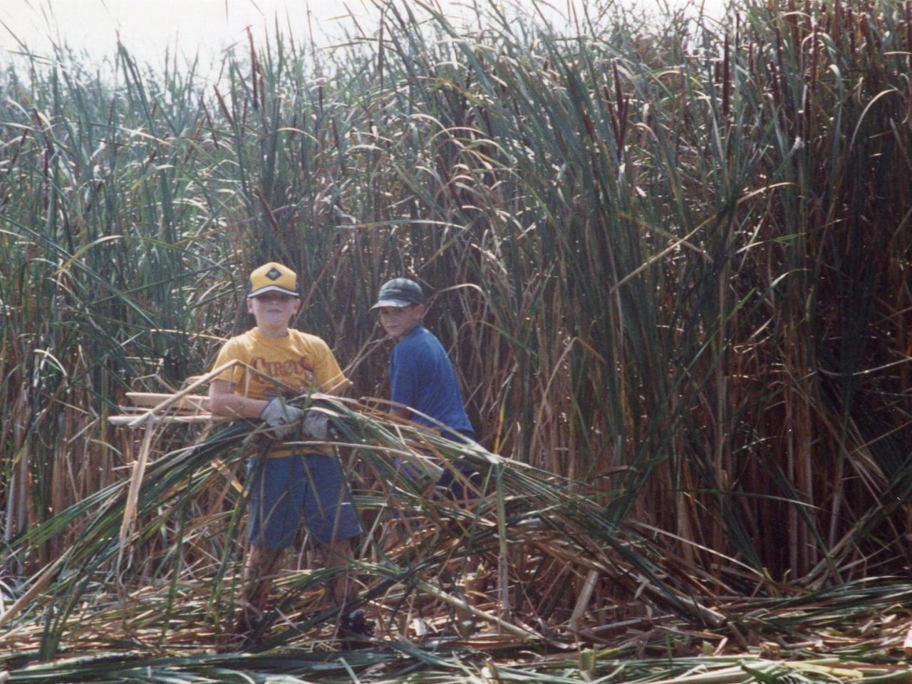 two children working on the tall grass