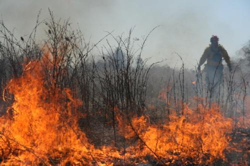 a prescribed burn of the prairie