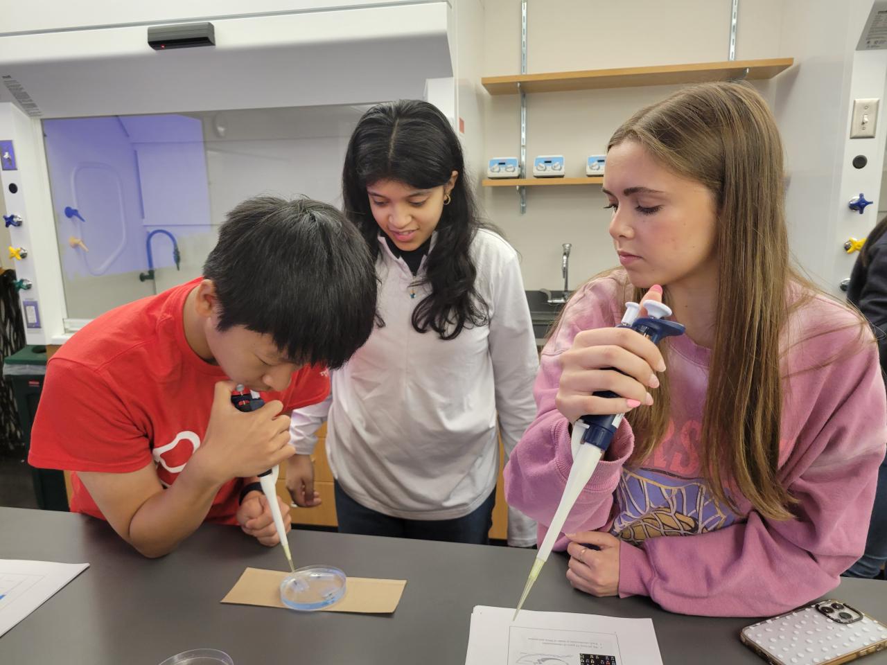 stem camp students working with petri dishes