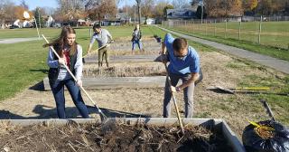 four students of The Ohio State University at Marion raking and digging in garden