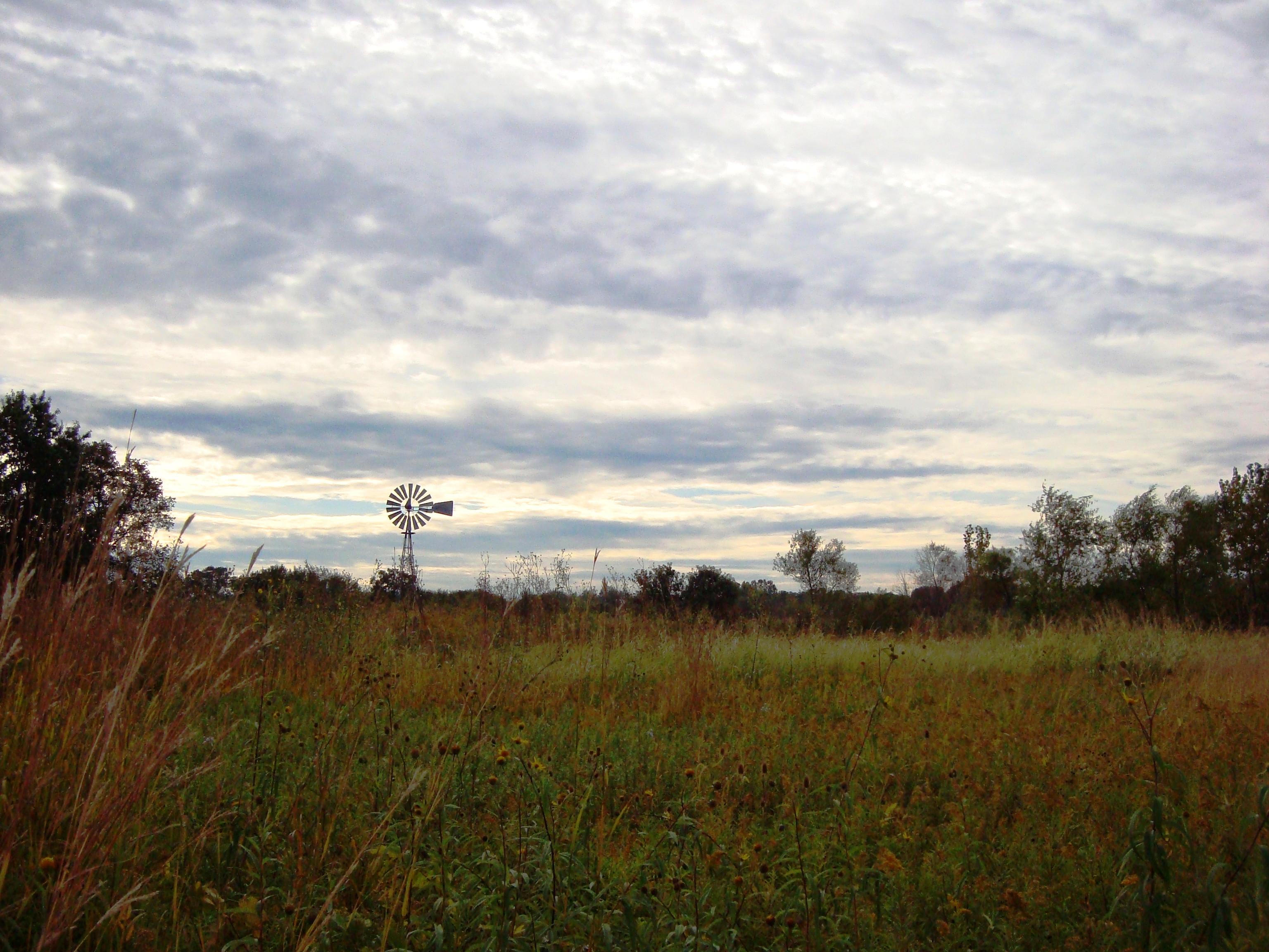 tall grass prairie with a windmill and partly cloudy sky in the background