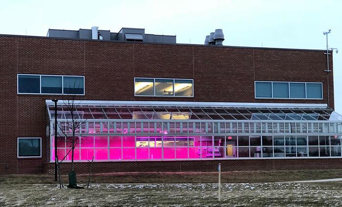 bright pink glow emanating from the greenhouse that is part of Ohio State Marion’s newly constructed Science & Engineering Building
