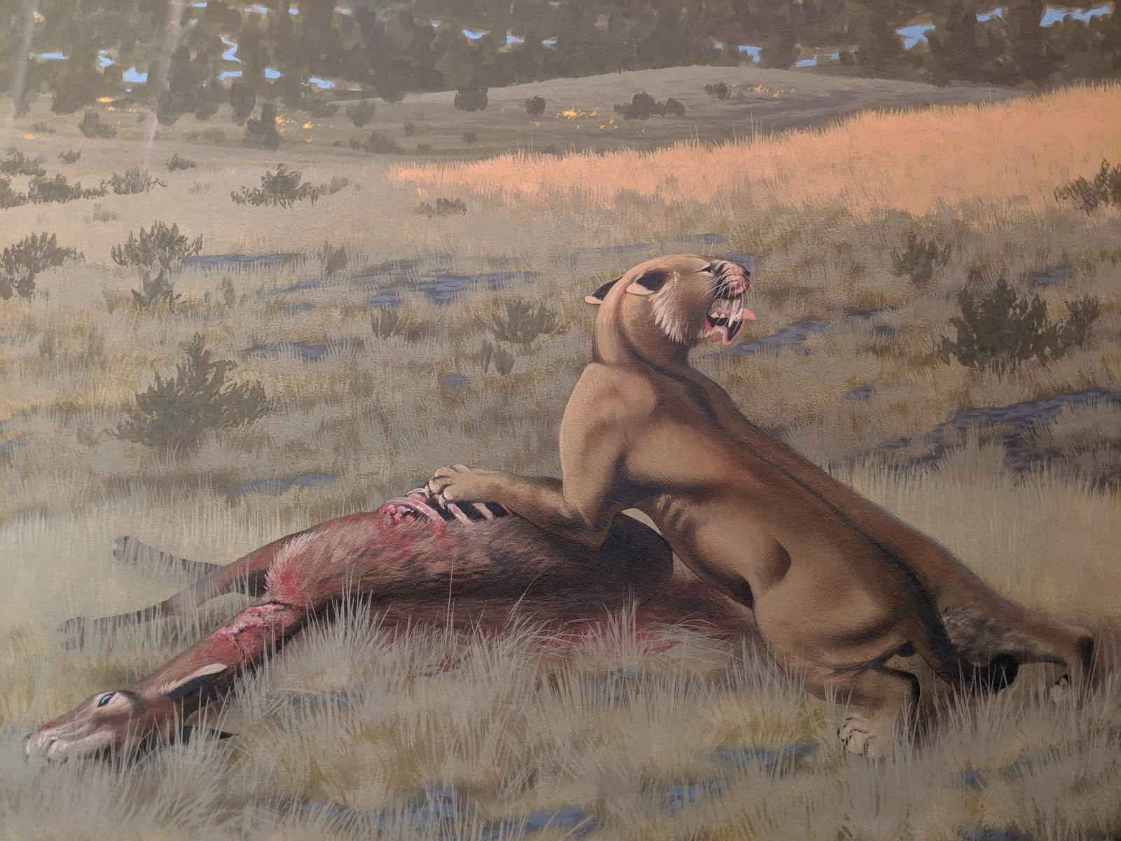 artist rendering of sabertooth cat eating prey in grassland setting