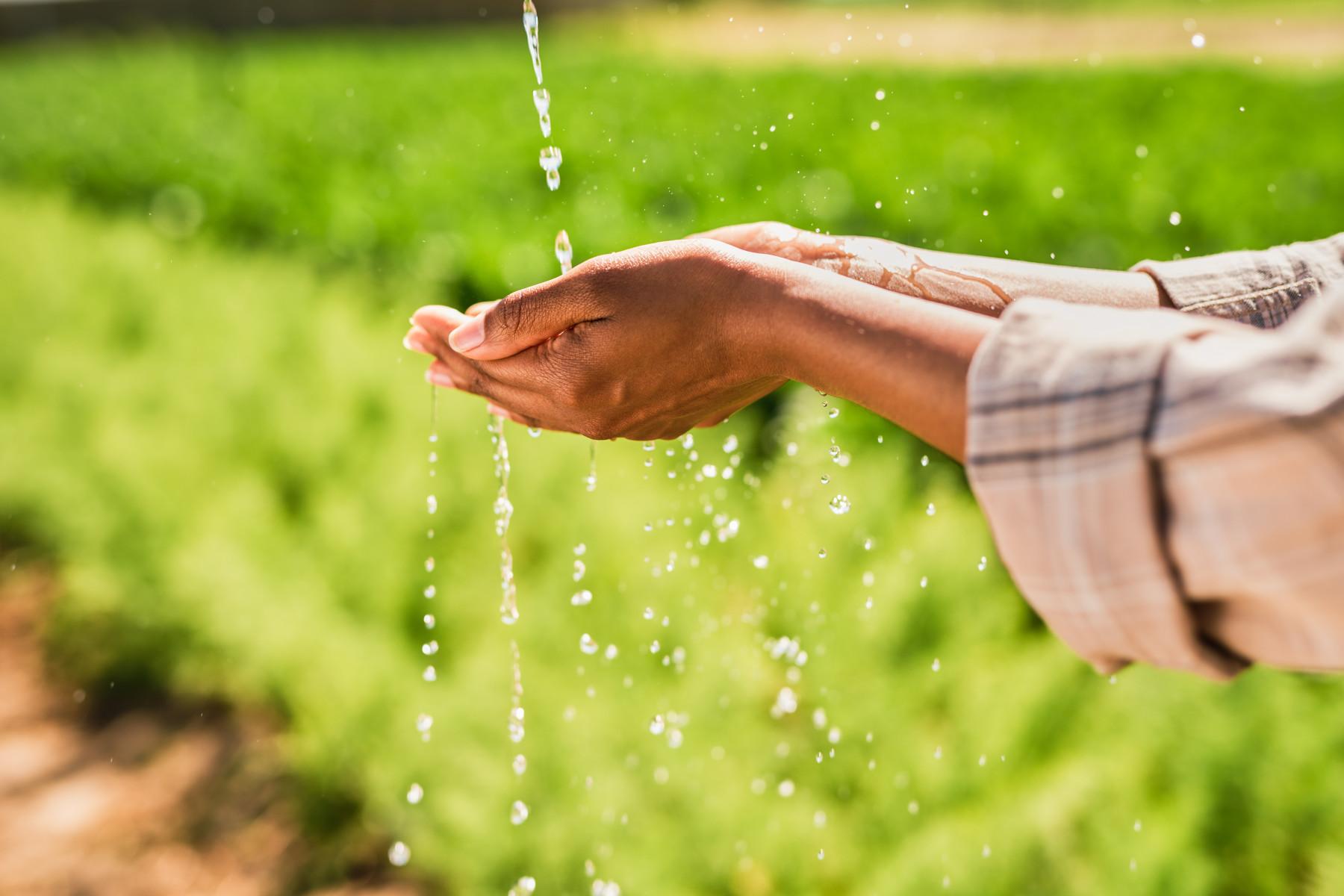 water trickling on to open hands in front of a field of vegetables