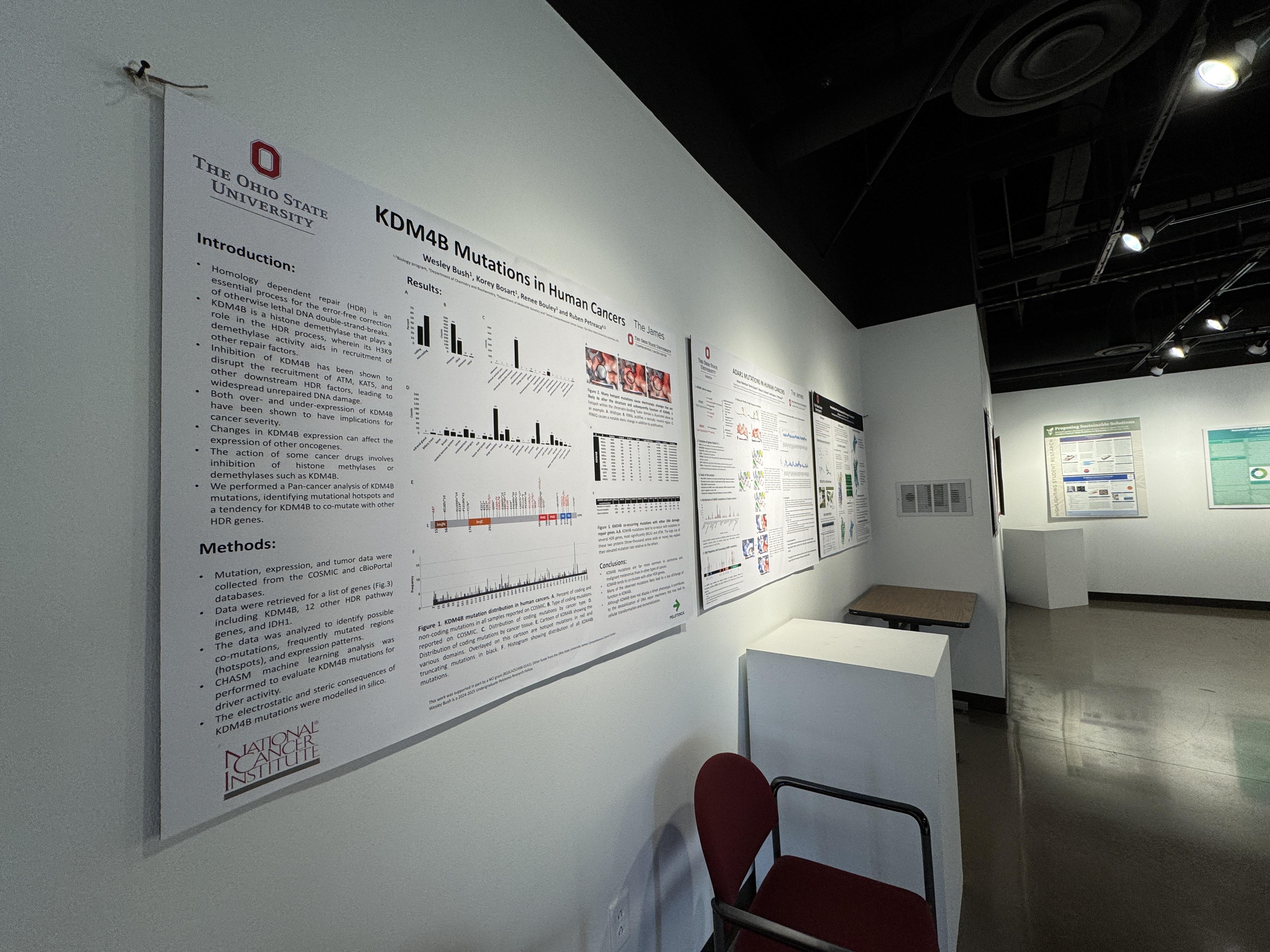 Kuhn art gallery filled with research posters