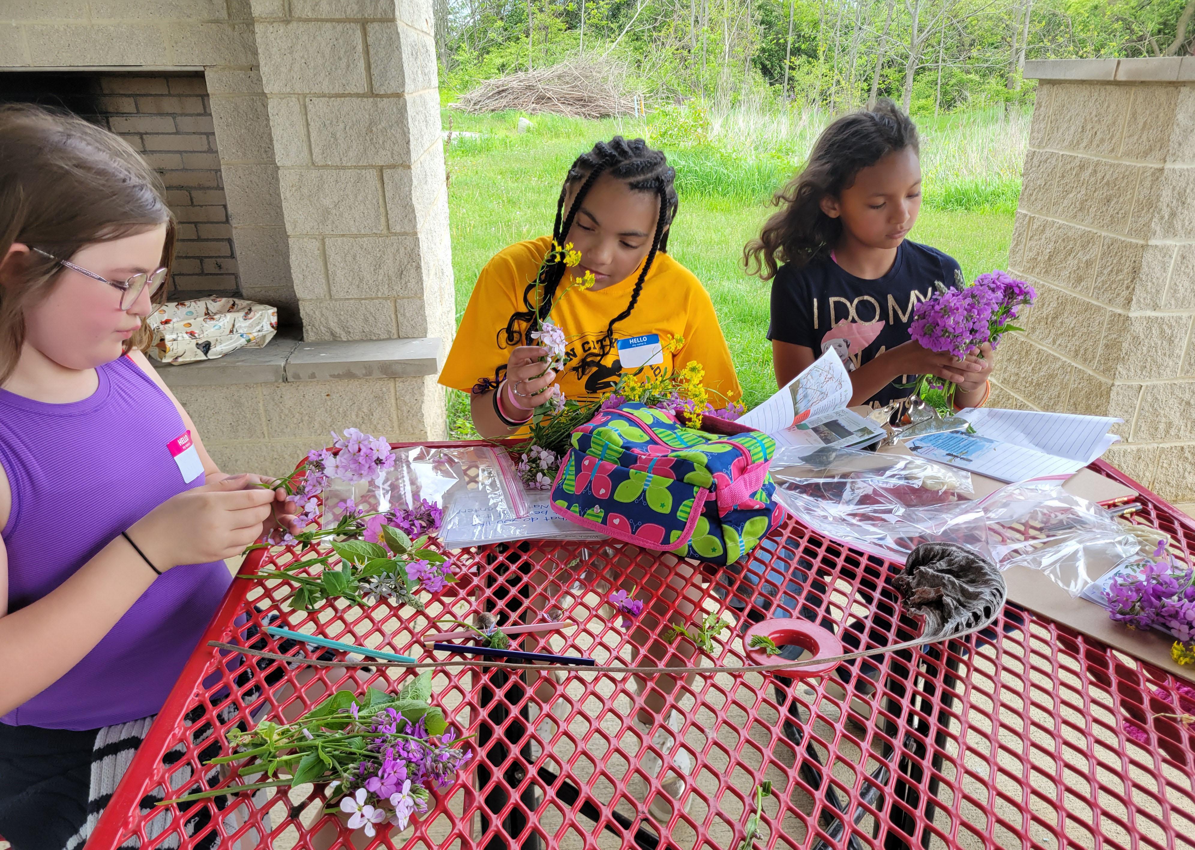 Three young girls examining prairie floors at outdoor table