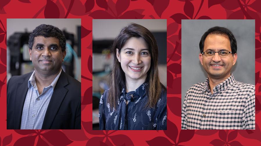 Three headshots man, woman, man with leaf background