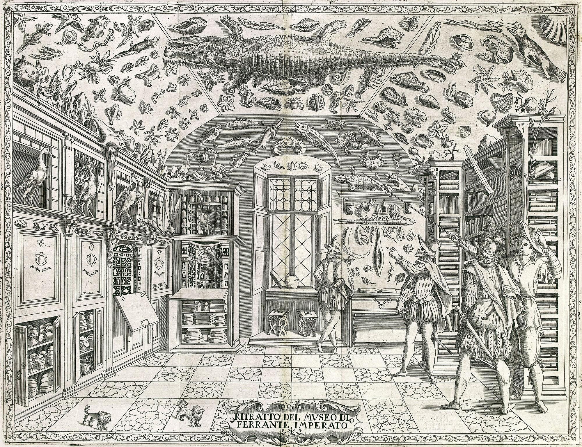 black and white line drawing of museum room with oddities