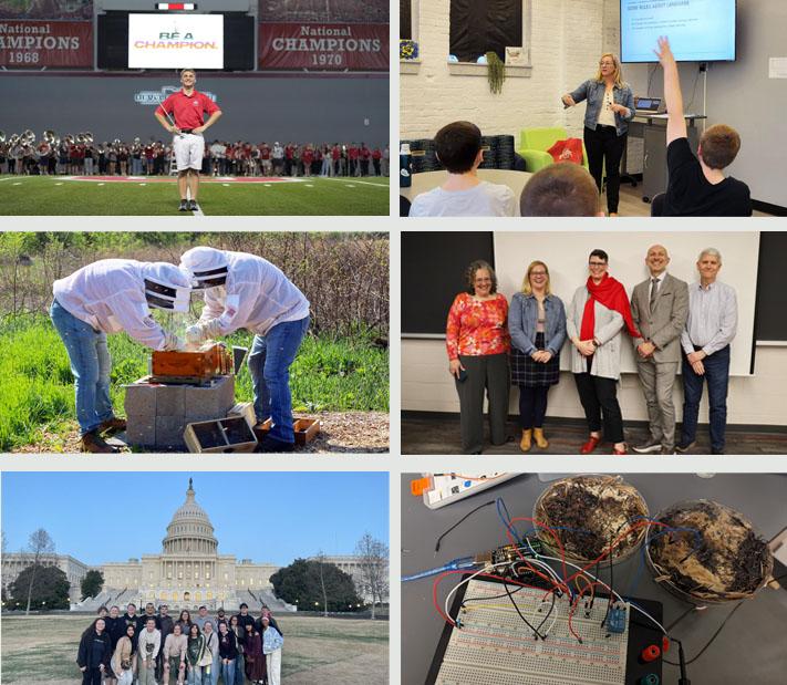 collage of photos throughout the year