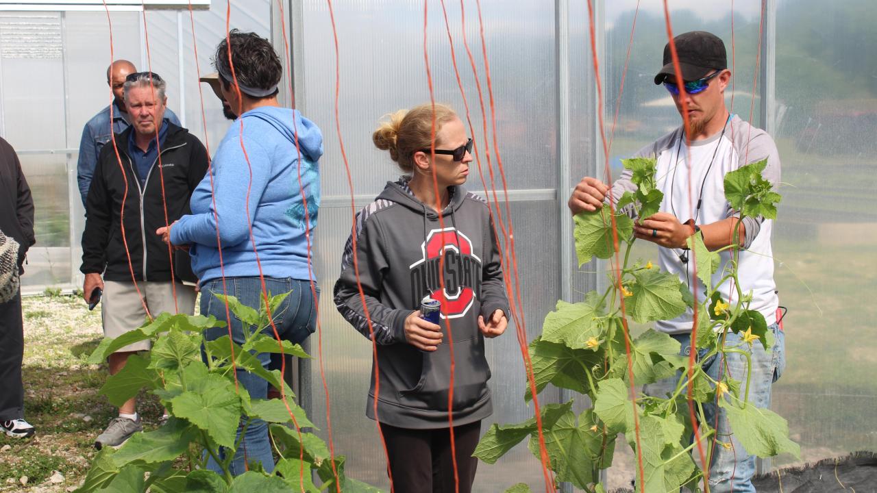 man and woman look at vegetable growth in greenhouse