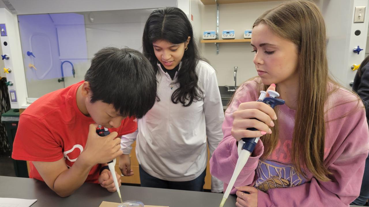 stem camp students working with petri dishes