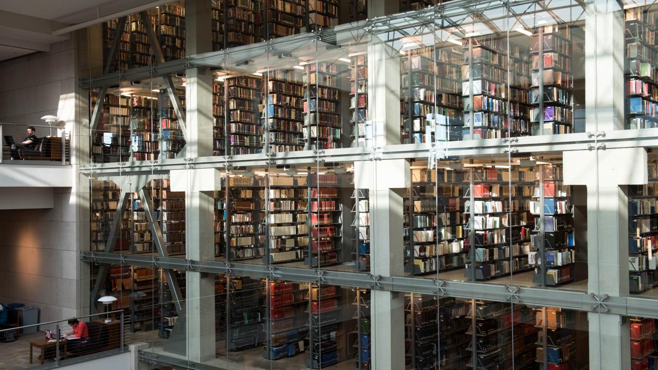 stacks of books at thompson library
