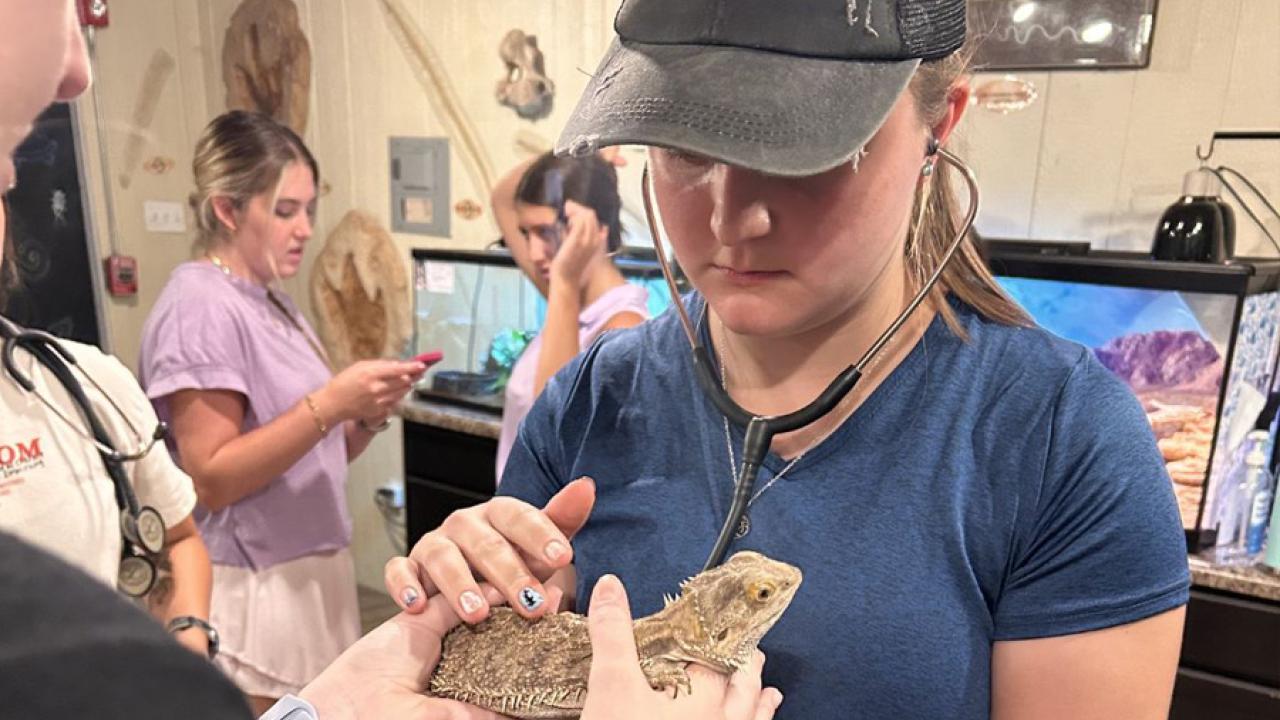 woman with stethoscope checking reptile
