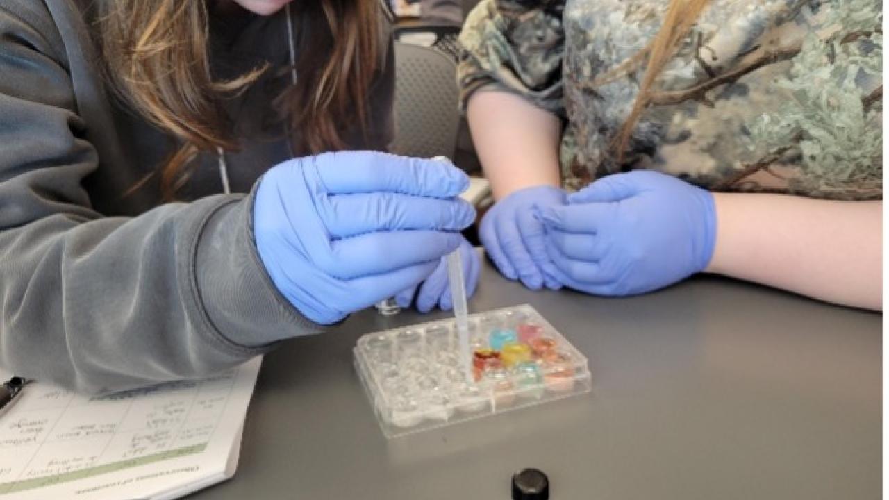 students working with test tubes